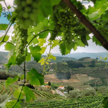 Κατάλυμα σε φάρμα Marim Country