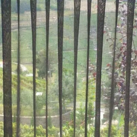 Marim Country Séjour à la ferme *