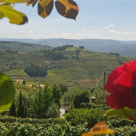 Alloggio per agriturismo Marim Country Mesão Frio