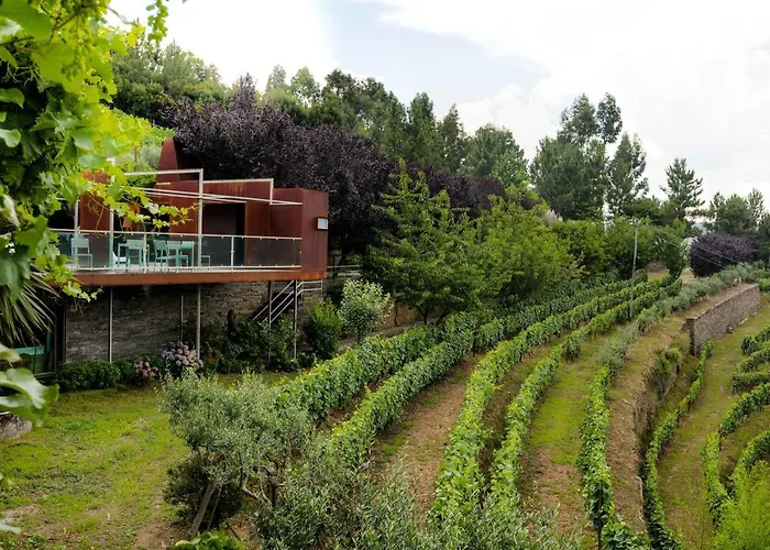 Marim Country Alloggio per agriturismo Mesão Frio