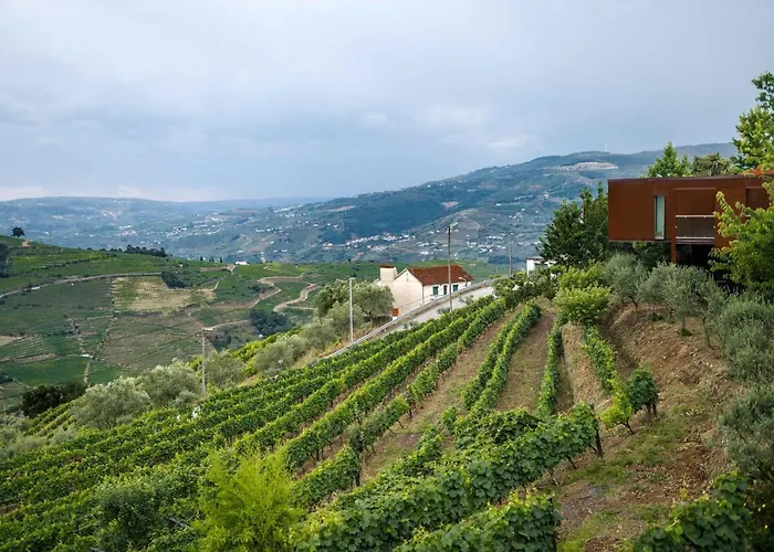 Marim Country Farm stay *