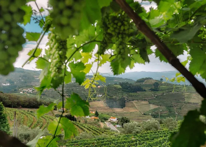 Farm stay Marim Country