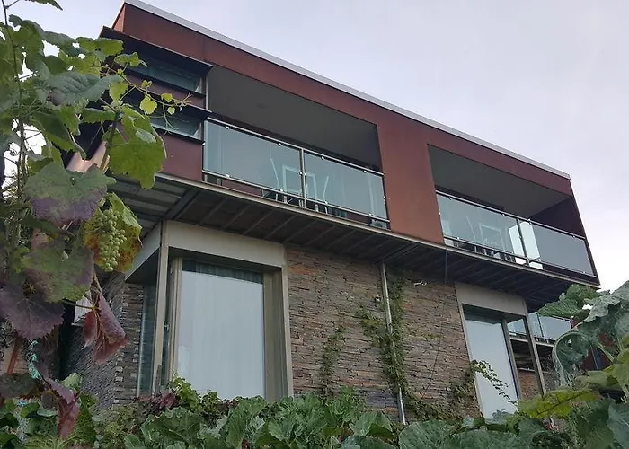 Marim Country Gospodarstwo agroturystyczne Mesão Frio