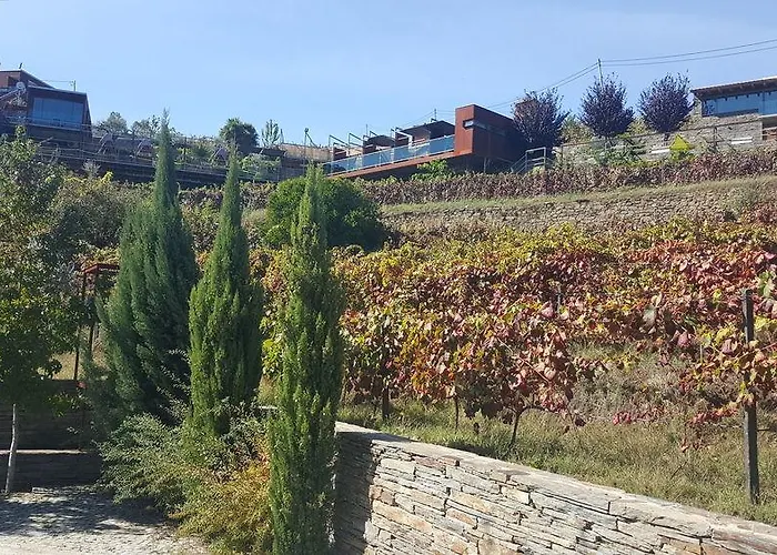 Marim Country Gospodarstwo agroturystyczne Mesão Frio