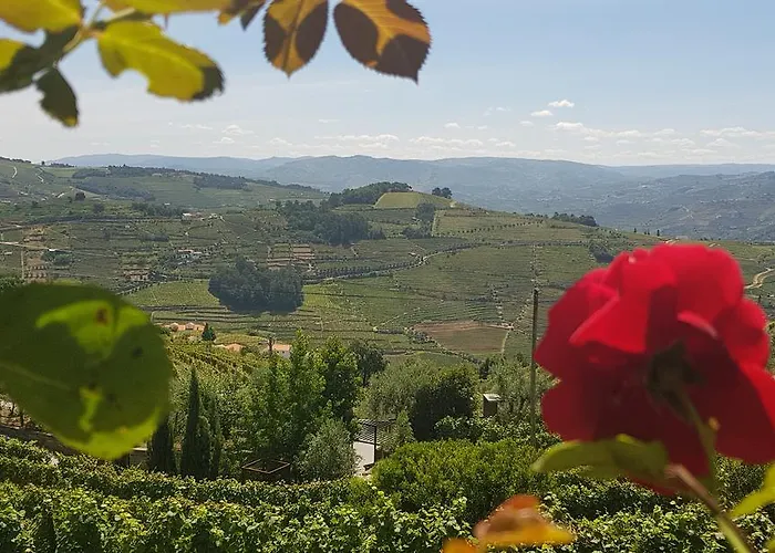 Gospodarstwo agroturystyczne Marim Country Mesão Frio