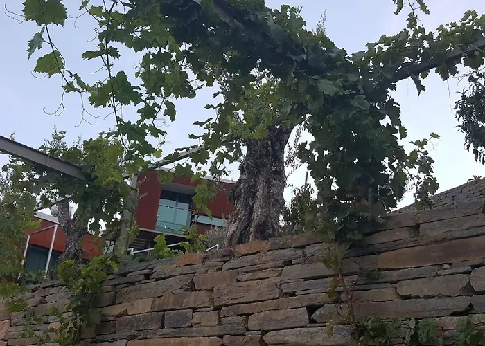 Marim Country Alloggio per agriturismo Mesão Frio